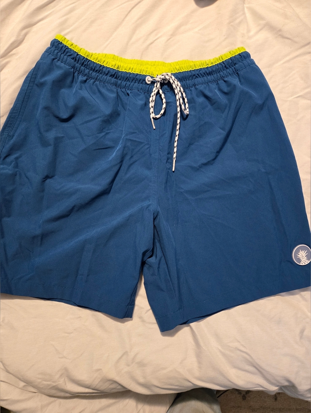 Chubbies Trunks With Liner
